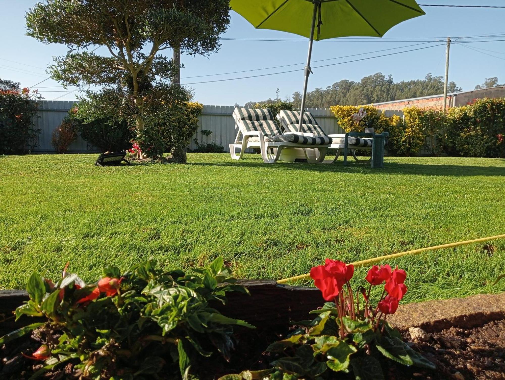 Ferienwohnung Terreno Das Mimosas Aveiro Exterior foto