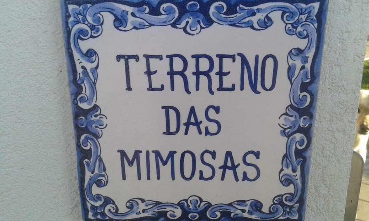 Ferienwohnung Terreno Das Mimosas Aveiro Exterior foto