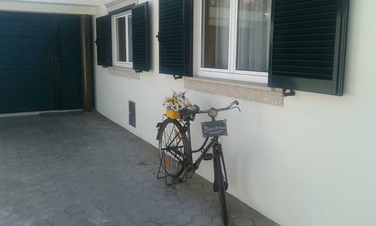 Ferienwohnung Terreno Das Mimosas Aveiro Exterior foto